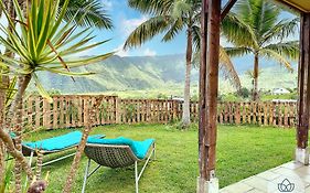 Yucca - Bungalow Aux Makes - Saint-Louis